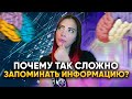 Почему так сложно запоминать информацию? | DeeaFilm