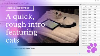 Rough and ready intro to BORIS software screenshot 3