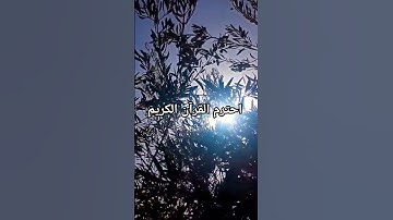 احترم القرآن الكريم #اكسبلور #لايك #المصحف #الرحمن #قران_كريم