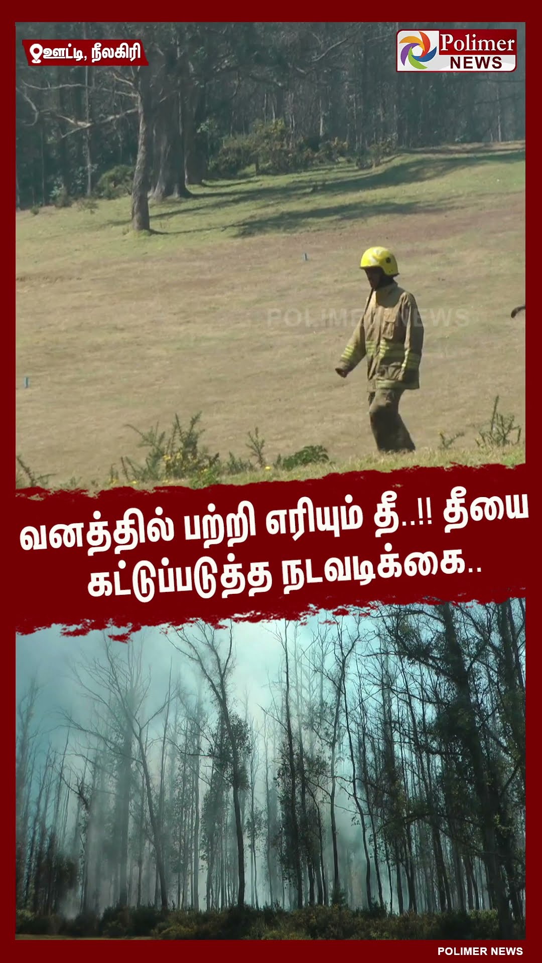 வனத்தில் பற்றி எரியும் தீ..!! தீயை கட்டுப்படுத்த நடவடிக்கை.. #shorts | #fire | #forest