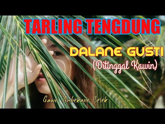 Dalane Gusti (Ditinggal Kawin)//tarling tengdung Cover Nining Sanjaya class=