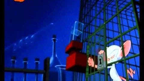 Animaniacs - Pinky and the Brain Intro 2 [Dutch]