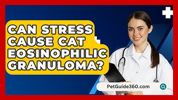 Can Stress Cause Cat Eosinophilic Granuloma? - PetGuide360.com