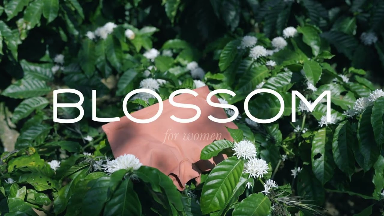 Experience Ultimate Comfort with Blossom's Stylish Innerwear