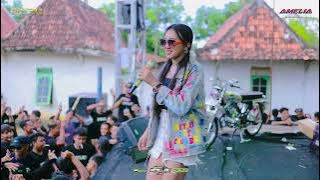 BONGKAR ELLEN ZUAN AMELIA MUSIC IPEJE COMMUNITY 2025