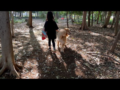 姉と、自由に自然の中を散策する終始笑顔の愛犬