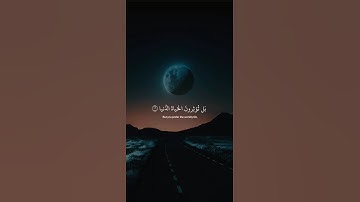 اكتب شيء تؤجر عليه 😴💚 قران كريم | عبد الرحمن مسعد
