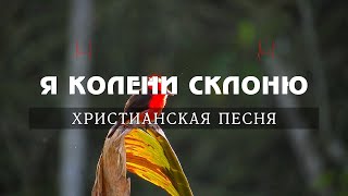 Я колени склоню и услышит всевышний - Христианская Песня