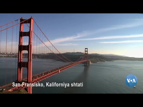 Video: Kaliforniya dengizidagi San-Fransisko ko'rfazi