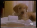Pubblicita Carta Igienica Scottex 1987 Youtube