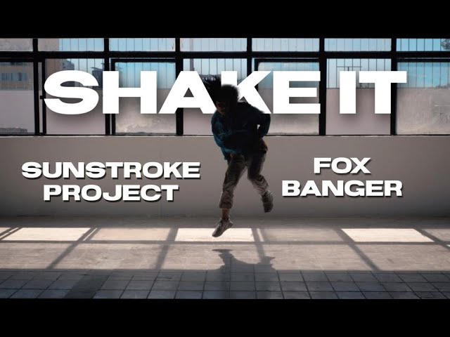 Sunstroke Project - Shake It