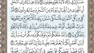 سورة النحل الصفحة 274 الشيخ محمد صديق المنشاوي