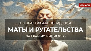 Маты И Ругательства/ Вред Или Польза Бранных Слов/ Почему Можно и Нужно/ Лилия Нор