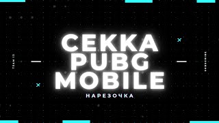 НАРЕЗОЧКА | OLDBOY И YAKUDZA ЗНАКОМСТВА | GONZO | VETREL | MAKSONCHIK | AZIMOV1021 | PUBG MOBILE