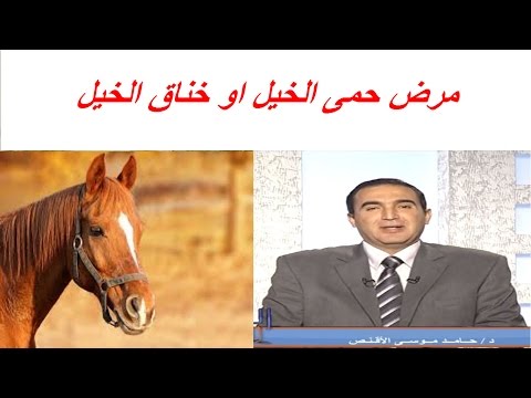 مرض حمى الخيل او خناق الخيل الاسباب و الاعراض و العلاج