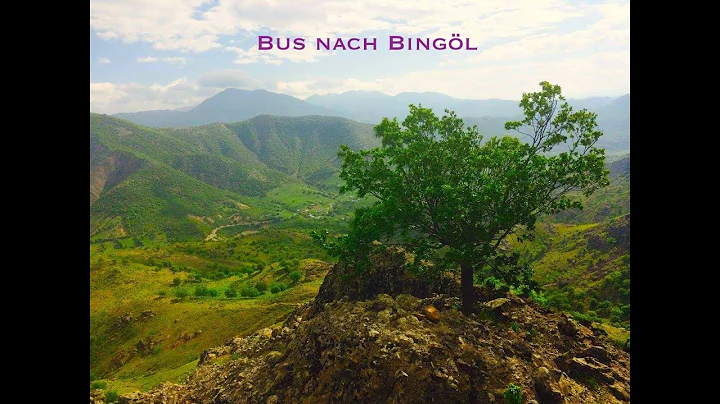 Richard Schuberth: Bus nach Bingl