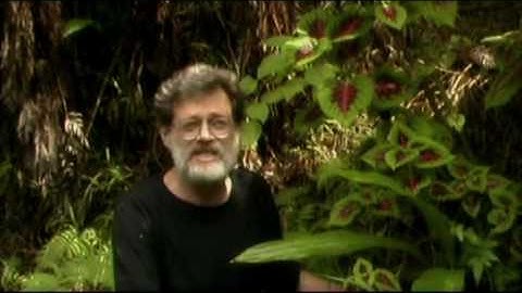 TechnoCalyps   Part II   Preparing for the Singularity