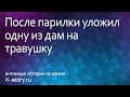 Интимные истории. После парилки уложил одну из дам на травушку