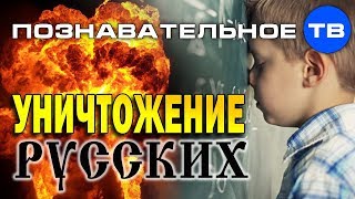 Уничтожение русских школьным образованием (Познавательное ТВ, Илья Михнюк)