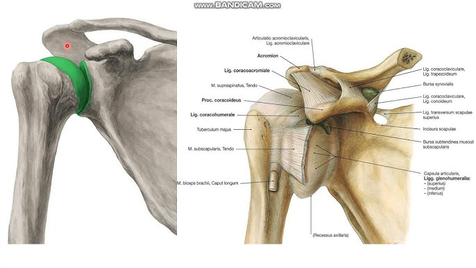 Күйеуінің, әйелінің және досының жеке порно видеосы Иса Франконың жыныстық тұрақсыз әйелі