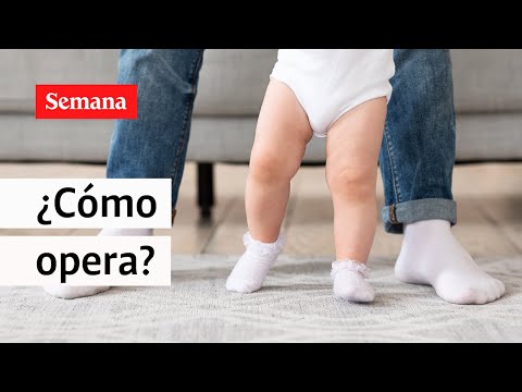 ¿Cómo opera la licencia de paternidad en Colombia? | Semana Noticias