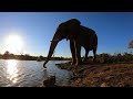 Rhulani safari lodge madikwe game reserve waterhole time lapse