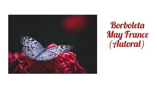 May France : Borboleta 🦋 ( Autoral ) Letra