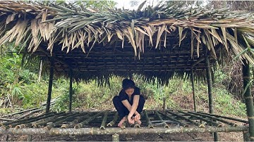 Full Video: Unexpected Return After 10 Years  A Young Girl Builds A Bamboo House In The Forest Alone