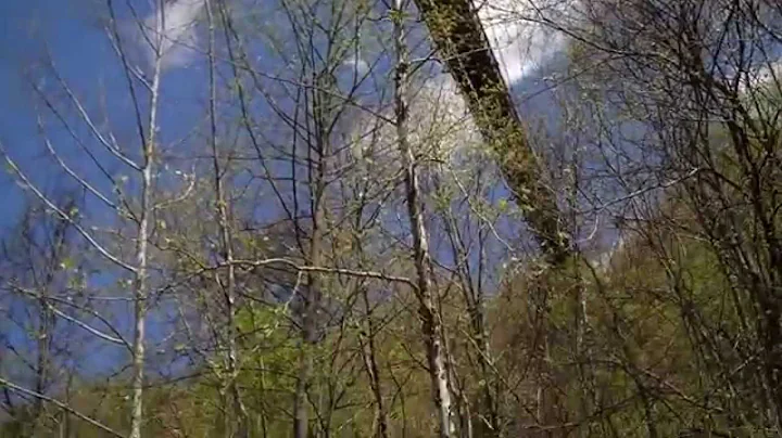 BIG conveyor at Gary WV