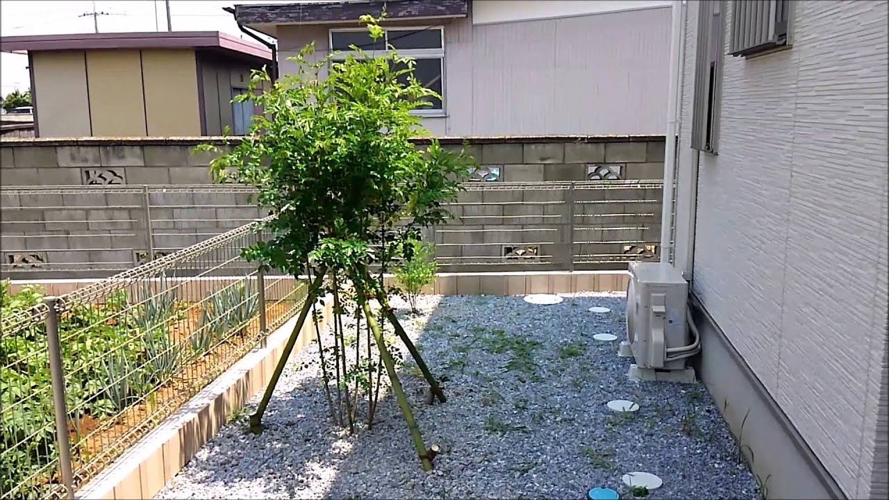 シマトネリコを植えました 作業前と後 加須 幸手 古河の植木屋 Youtube