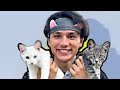 Мэшап Почему котикам компьютеры не нравятся х Песня про котят
