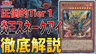 [ガチデッキ]遊戯王OCG デュエルモンスターズ 炎王財宝スネークアイ ガチデッキ]遊戯王OCG デュエルモンスターズ 炎王財宝スネーク