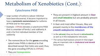 Xenobiotics metabolism
