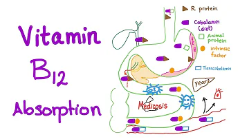 Co brání vstřebávání vitaminu B12?