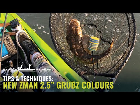 Fishing the New ZMan 2.5 GrubZ Colours - Dirty Oil, Slam Shady