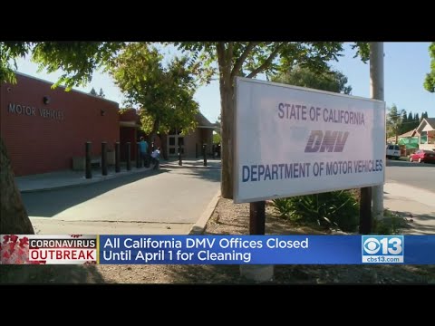 Video: Muaj pes tsawg lo lus nug ntawm California DMV maus taus xeem?