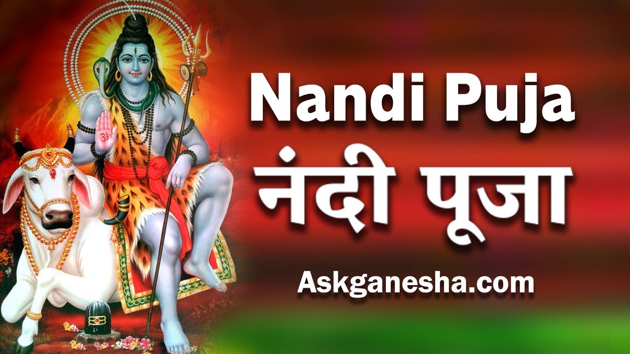 Nandi Puja and Homam - Askganesha | Accurate Astrologers