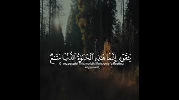 أرح سمعك،تلاوه هاديه تريح القلب والعقل بصوت عمار الشلاحي.