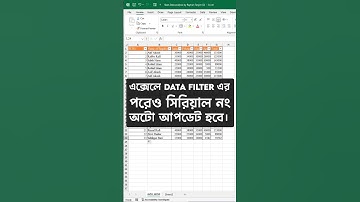 🔥 Auto Serial Numbers After Applying Filters in MS Excel #smartexcel #exceltips #newexcel
