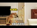 不同年龄段现状#酸辣土狗丝 #动画 #勇闯后室