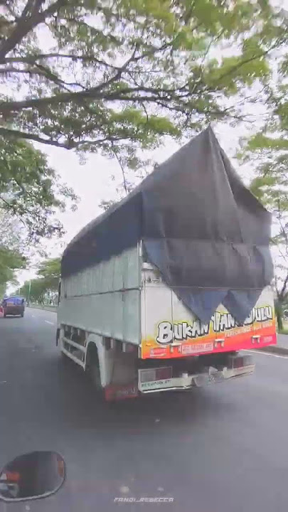 story' wa truk isuzu giga mboiss ||story truck panturace