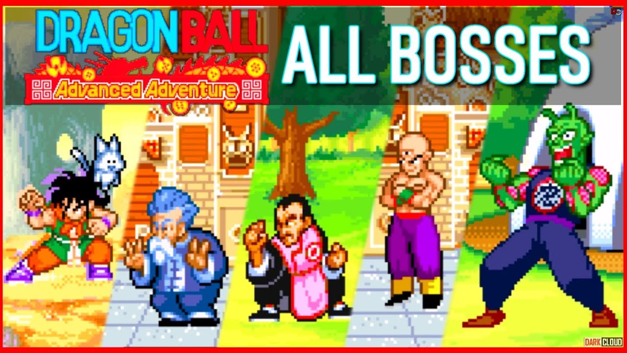 The Dragon Ball Adventure