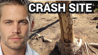 Paul Walker Crash Site and Wreckage - Dearly Departed Tours