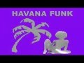 Miniature de la vidéo de la chanson Waka Waka (This Time For Africa) (Havana Funk Remix)