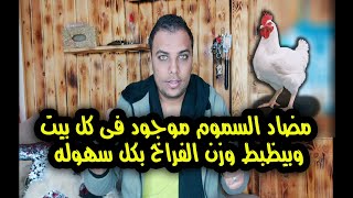 مضاد السموم موجود فى كل بيت و بيظبط وزن الفراخ بكل سهوله // عشاق الدواجن