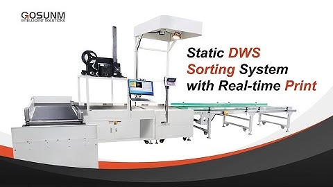 static dws sorting system with Real -time print & apply labeling applicator