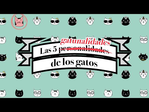 Video: Cómo Cambiar La Personalidad De Un Gato