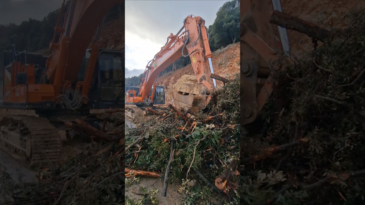 Работа в Хорватии. Црес. 