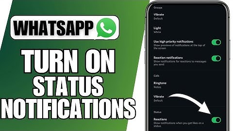 How To Enable Status Reaction Notifications on WhatsApp