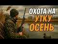 ОХОТА НА УТКУ ИЗ ЗАСИДКИ.